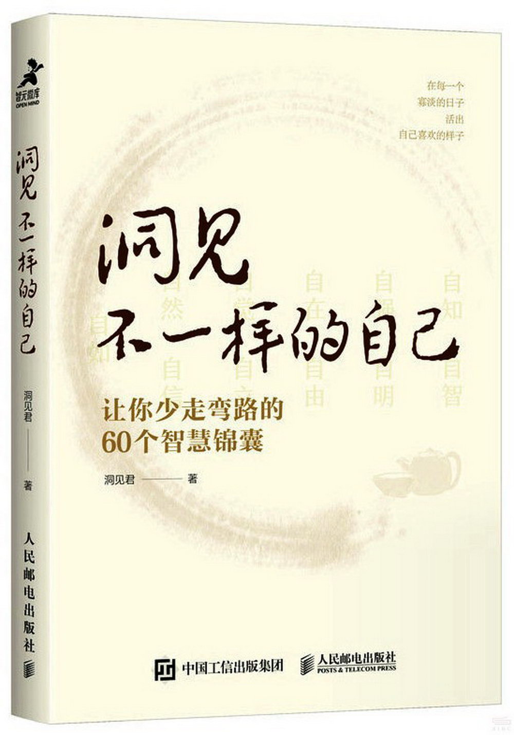 洞見不一樣的自己：讓你少走彎路的60個智慧錦囊