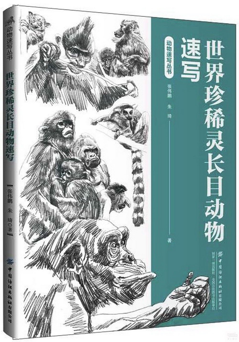 世界珍惜靈長目動物速寫