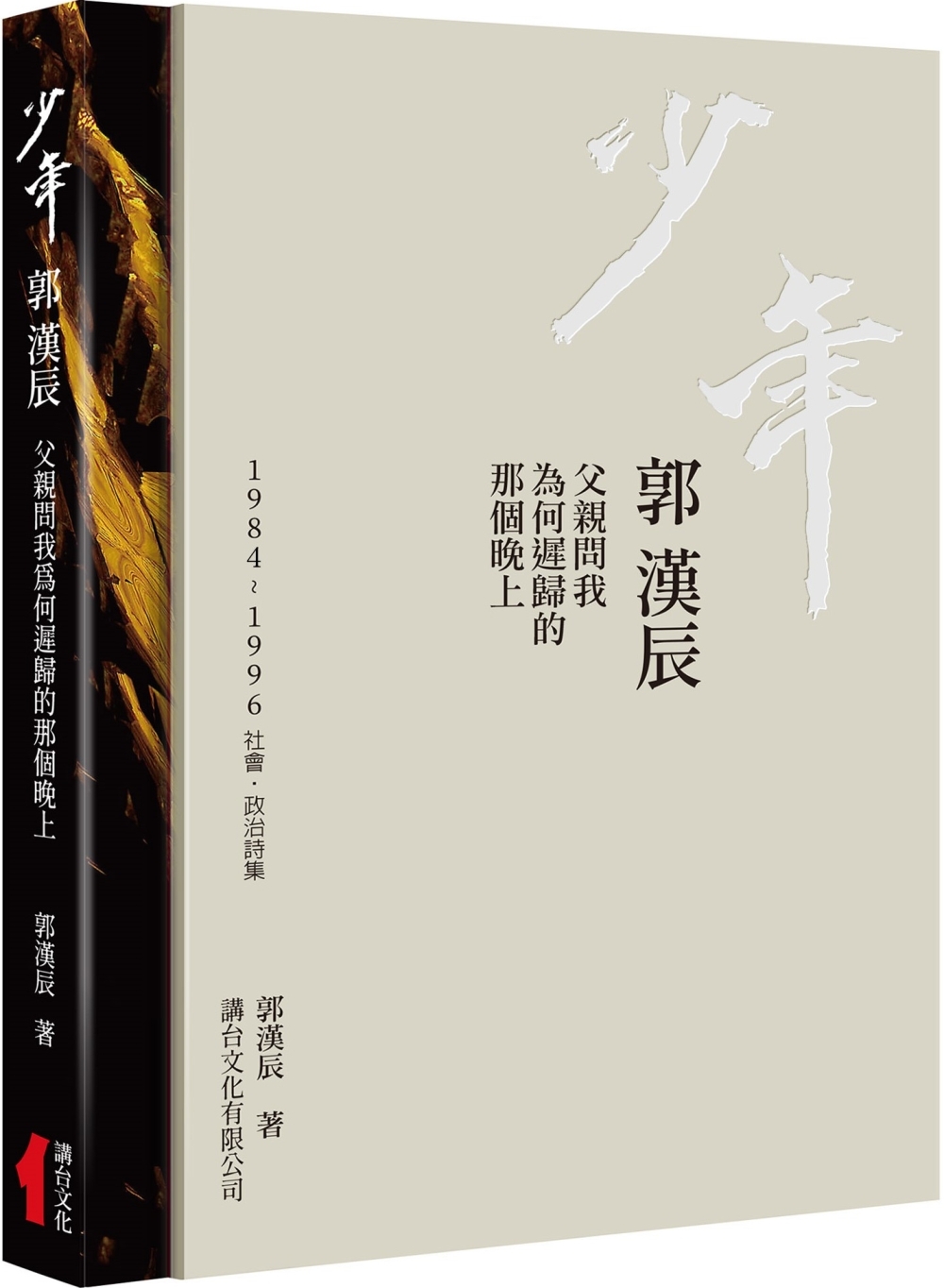 少年  郭漢辰：1984-1996社會‧政治詩集：父親問我為何遲歸的那個晚上