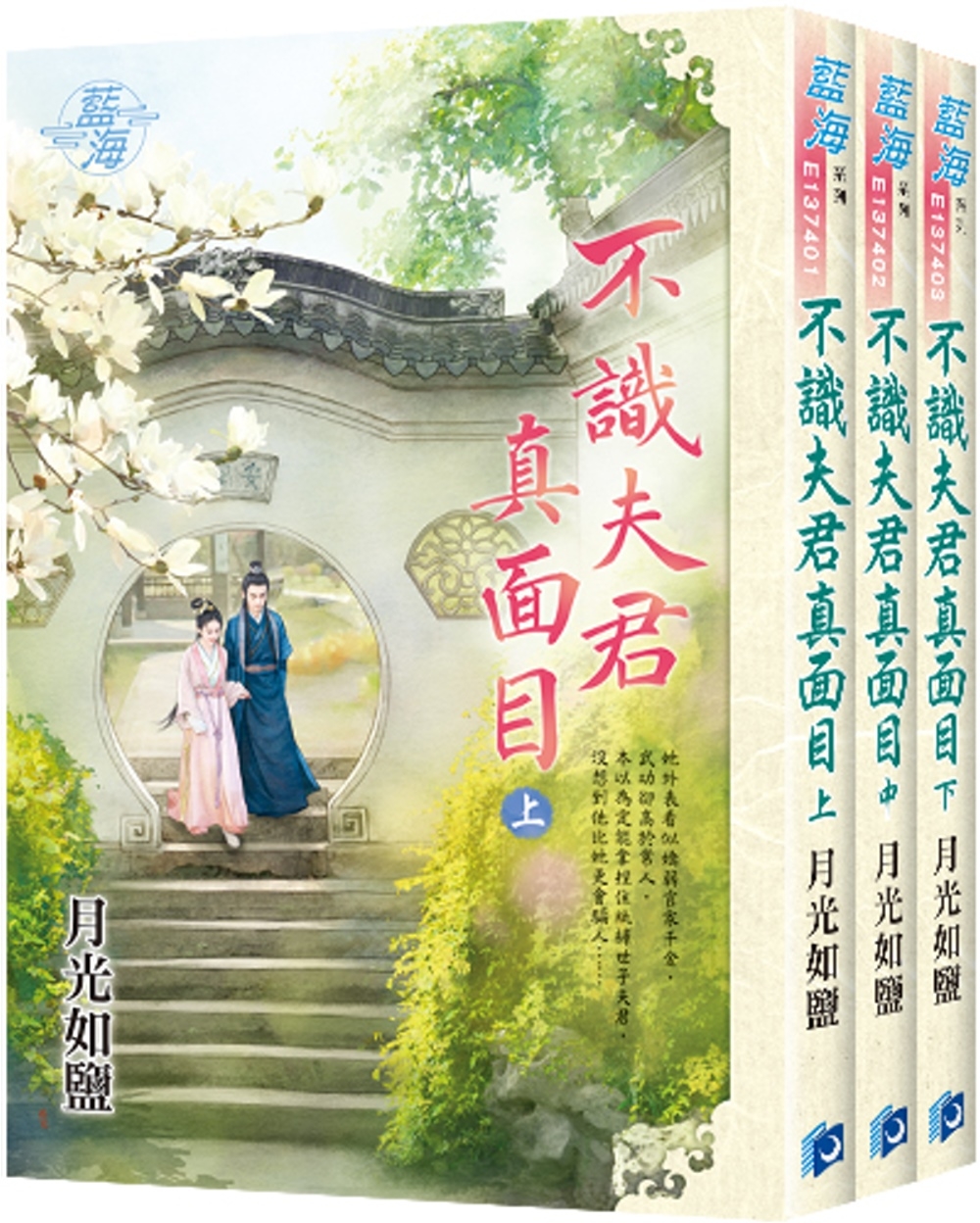 不識夫君真面目（全3冊）