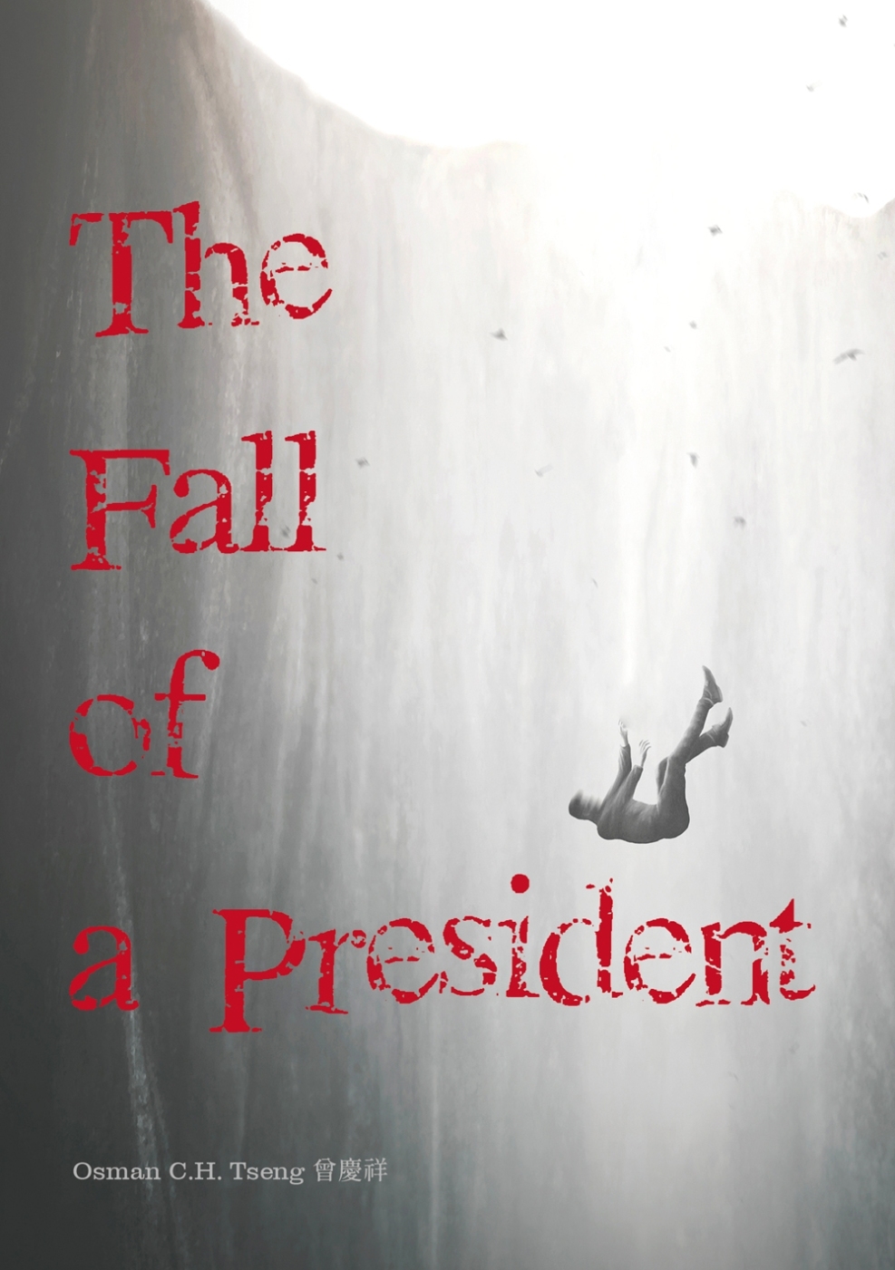 The Fall of a President