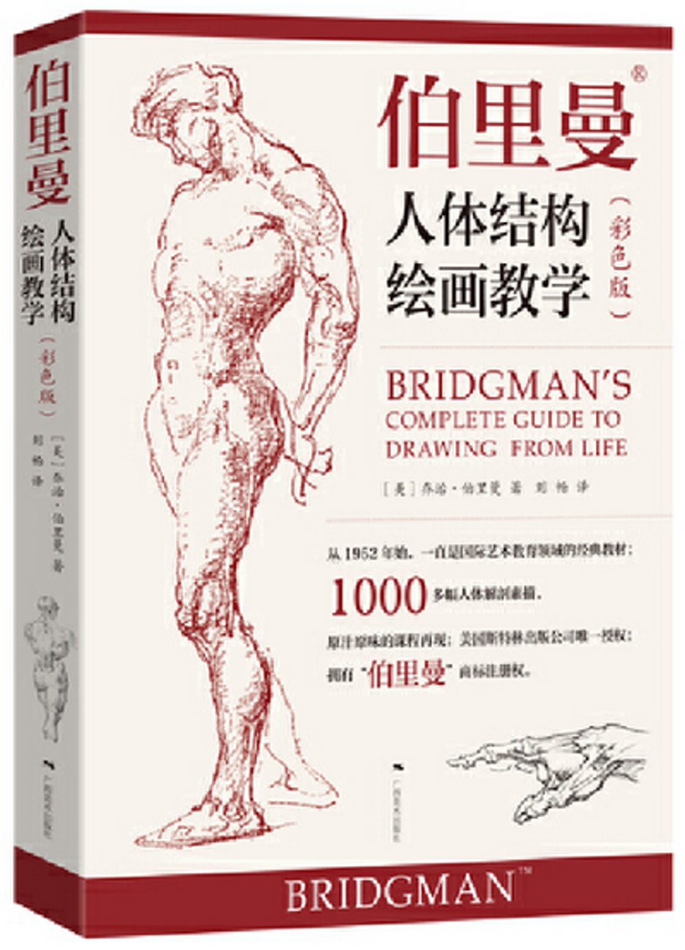 伯里曼人體結構繪畫教學（彩色版）