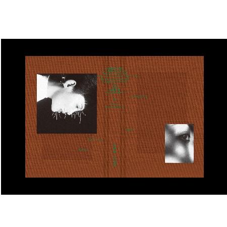 【代購】魏如萱 waa wei / 第8張全新專輯 〈珍珠刑〉精裝正式版