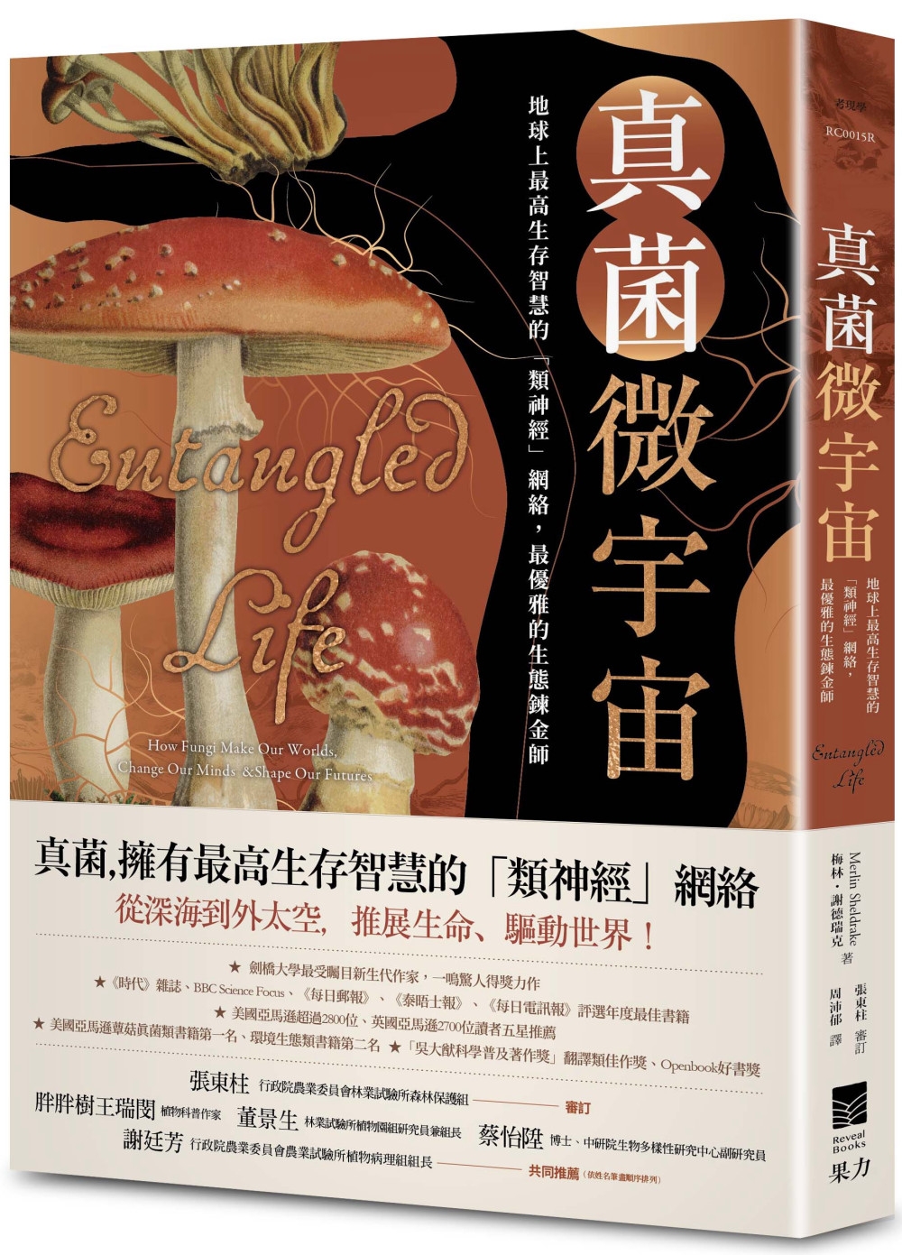 真菌微宇宙：地球上最高生存智慧的「類神經」網絡，最優雅的生態鍊金師