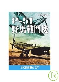 P-51野馬戰鬥機