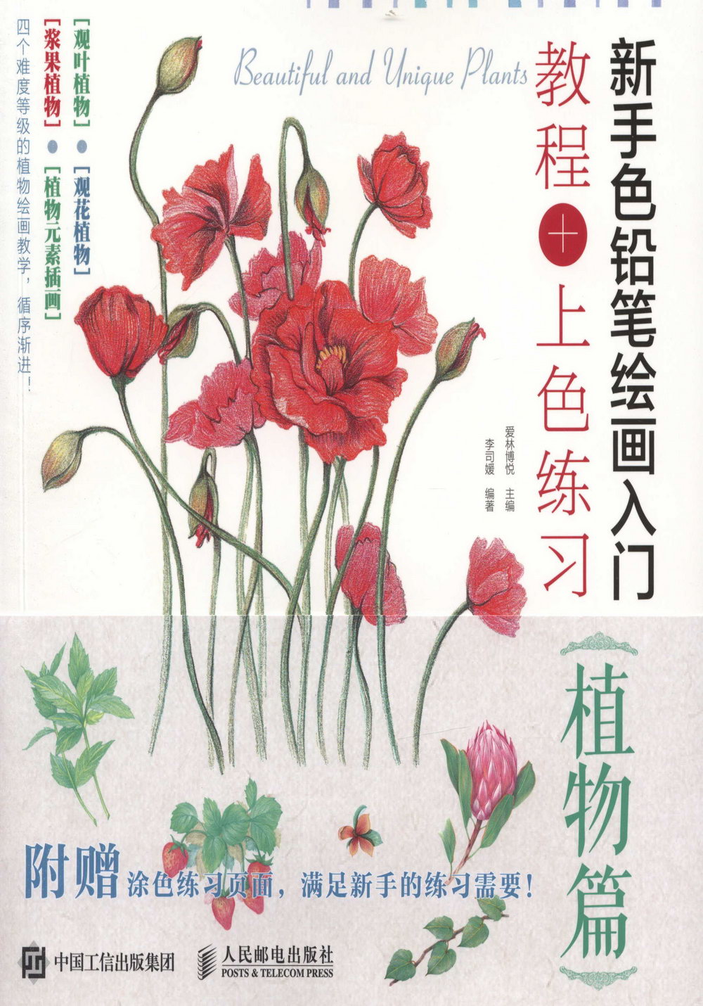 新手色鉛筆繪畫入門教程+上色練習：植物篇