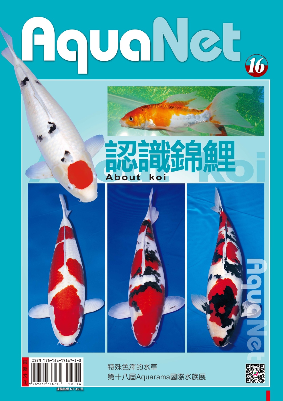 認識錦鯉 城邦阅读花园 马来西亚最大网路书店 認識錦鯉 城邦阅读花园 马来西亚最大网路书店